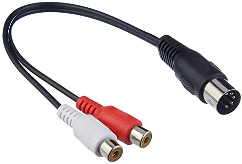 Wentronic 50002 Câble 0.2 m Noir