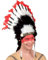 PARTY DISCOUNT Indianer-Kopfschmuck mit Marabou schwarz/weiß