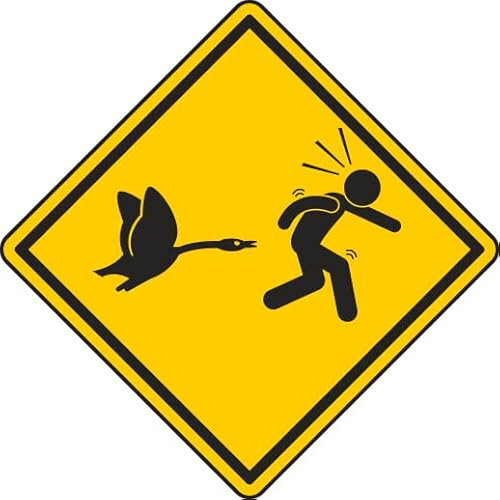 U24 Aufkleber Vorsicht gefährliche Gans 8 x 8 cm Autoaufkleber Sticker