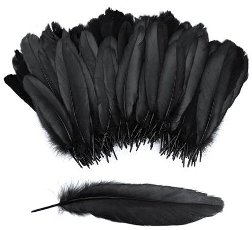 200 Stück Bastel Federn, Bunte Deko Federn, Federn Basteln, Natürliche Federn, Federn zum Basteln für DIY Ohrring, Hochzeit, Traumfänger, Kopfschmucksfedern, Ostern, Weihnachten (Schwarz)