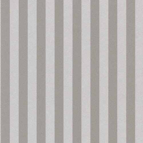 Casa Padrino Barock Textiltapete Grau/Silber 10,05 x 0,53 m - Barock Tapete mit Streifen