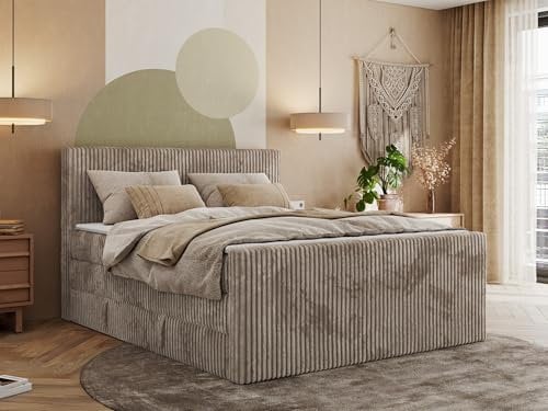 MKS MEBLE Boxspringbett Cord 200x200, Polsterbett Bett Cord, Boxspringbett mit Matratze H3,Bett mit Bettkasten and Kopfteil, Doppelbett mit Stauraum - Tiliano King Duo - Hellbraun Cord - H3