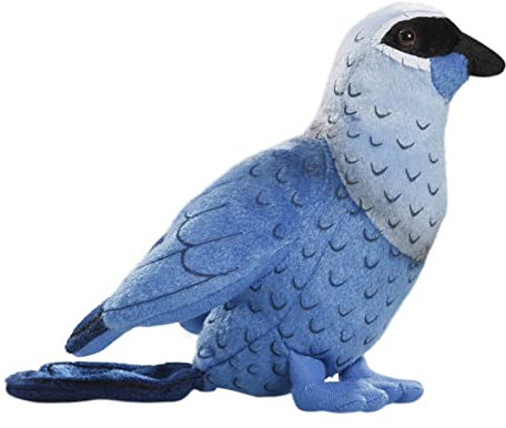 Carl Dick Lappenkrähe, Kokako, Plüschtier, Kuscheltier ca. 18cm 2923