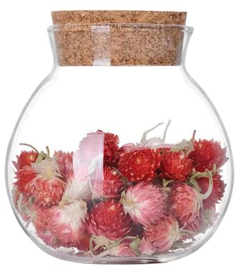 VASANA Leere, nachfüllbare, runde Glasdose mit Korkverschluss, für Blumen, Tee, trockene Früchte, Nüsse, Kaffee, Bohnen, Zucker, Kekse, Süßigkeiten, 500 ml
