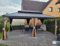 PURPLE LEAF Pavillon 3.65 x 6 m Wasserdicht Stabil Winterfest Gartenpavillon mit Stahldach Hardtop Pavillon mit Seitenteile, Bronze