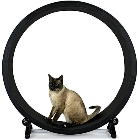 Cat Laufband, Katzenlaufrad ohne Öffnung für Innenkatzen, Sicherheitsleises Katzenlaufrad mit Gehbahn mit Teppich, Katzenlaufband für längere Lebensdauer