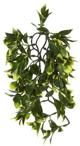 Exoterra Décoration Croton Plante Plastique Grand Modèle pour Reptiles et Amphibiens