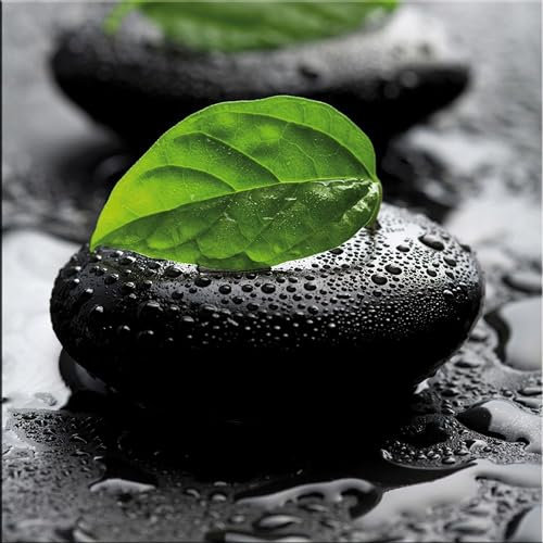 artissimo, Glasbild, 30x30cm, AG9139A, Zen grün, Steine und Blatt, Bild aus Glas, moderne Wanddekoration aus Glas, Wandbild Wohnzimmer modern