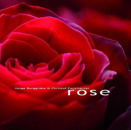 Noldi Alder (Violine) - ROSE (CD)