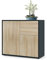Vladon Sideboard Ben, Made in Germany, Kommode mit 2 Türen und 2 Schubladen, Schwarz matt/Eiche Sägegrau (79 x 74 x 36 cm)