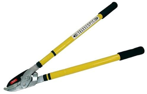 Neilsen CT3461 Ratchet Telescopic Tree Lopper - Extendable Branch Cutter, High Carbon Steel Blades, Comfortable Soft Grip, Cuts Branches with Ease