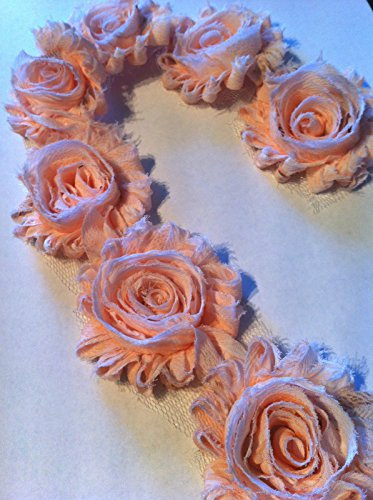 Shabby Rose Blume Rosette Trim Spitzenborte 87 cm = 14 beige Blumen