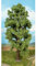 Heki 1743 Berg Ahorn, Höhe: 35 cm, Mehrfarbig