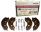 Bremsbacken-Satz AL-KO 1635 1636 1637 ALKO Set47 160x35