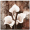 ARTland Wanddeko Leinwand Bilder Wandbild 40 x 40 cm Blumen Calla Malerei Braun A9AU Antike Callas braun