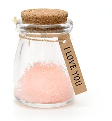 I Love You, Pink LED Magic Grow Your Own Crystal Garden Wish Flower Jar Growing Kit