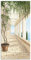 ARTland Wanddeko Wandbild Alu Verbundplatte für Innen & Outdoor Bild 50 x 100 cm Architektur Gebäude Sehenswürdigkeiten Malerei Creme Capri A5VL