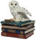 US Schmuckkästchen mit Schneeeulen, Flügeln auf Büchern, 12,9 cm, Weiß