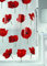 Spirella Rideau de Douche PEVA Poppy 180x200cm Rouge