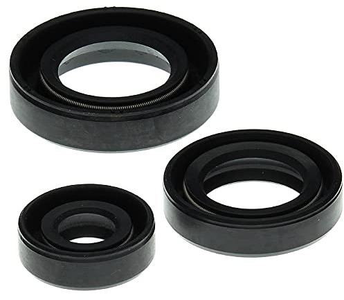 Winderosa 822199 Motor Oil Seal Kit