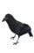 Rabe riesig Halloween Horror Rabe Kr�he Deko 30cm