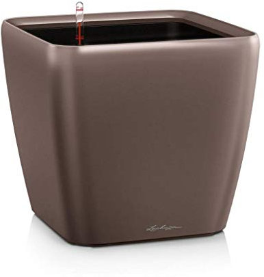 LECHUZA QUADRO LS 50 - Fioriera autoirrigante, grande, da giardino, per interni ed esterni, con foro di drenaggio e substrato per piante, in poliresina, 47 x 50 x 50 cm, colore: caffè metallizzato