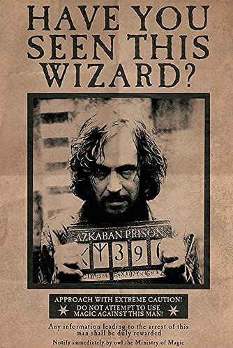 Harry Potter and the Prisoner of Azkaban (61cm x 91,5cm)