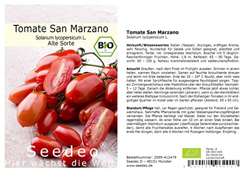 Seedeo® Tomate San Marzano (Lycopersicum L.) 25 Samen BIO