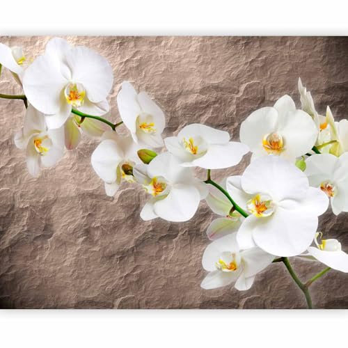 Fototapete - Tapete Orchidee Blumen 300x231 cm - Foto Tapete Schlafzimmer Wohnzimmer Moderne Vliestapete XXL Wandtapete Motivtapeten Bildtapete 3d Effekt Wand Dekoration - Natur Pflanzenmotiv Textur