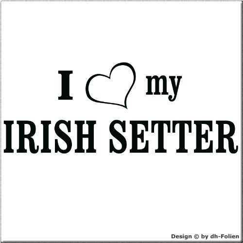 cartattoo4you® AI-01404 | I Love (als Herz) My Irish Setter | Autoaufkleber Aufkleber Farbe schwarz,in 24 Farben erhältlich, glänzend, 18 x 7 cm, Waschstrassenfest, Motiv Copyright by dh-Folien