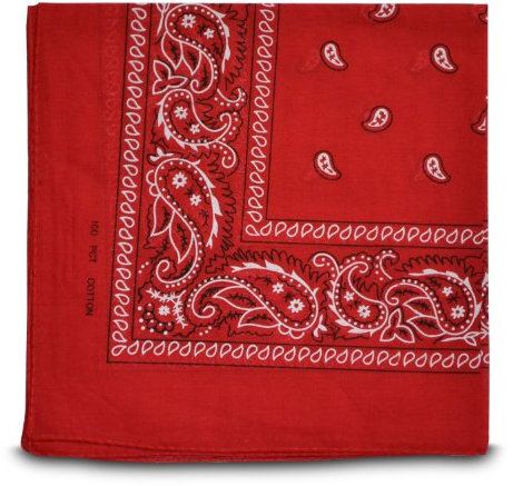 Shukan Fashions - Paisley Style Bandana Red Biker Cow Boy Cow Girl Neck Scarf Neck Wrist Wrap