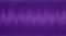 Gutermann Filo per Cucito, Poliestere, Purple, 5,5 x 2,7 x 2,7 cm, 250 unità