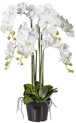 Gasper Kunstpflanze Phalenopsis im Kunststofftopf, Farbe: Weiß, in der Höhe: 90 cm, 105801-40