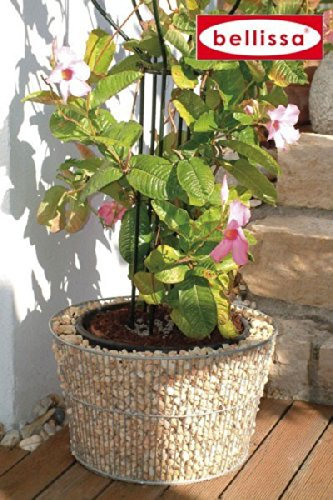 Vaso conico con pentola interna