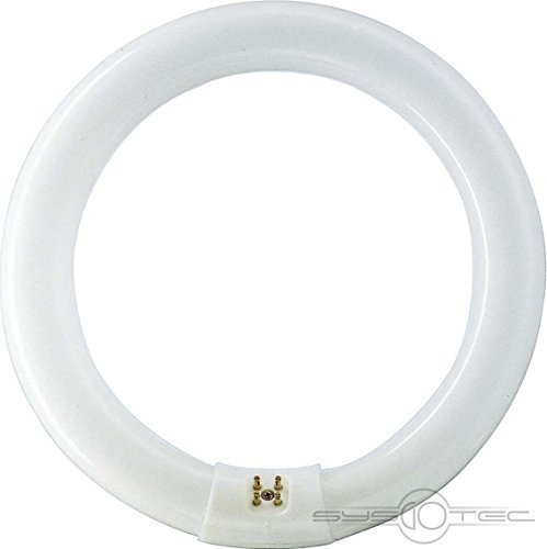 PHILIPS Tube fluorescent circulaire 32 W Ø30 cm triphosphore 840 K lumière jour