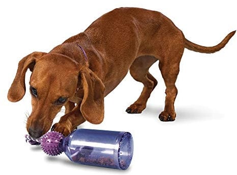 PetSafe Busy Buddy Tug-A-Jug Meal-Dispensing Dog Toy Use with Kibble or Treats,Purple
