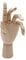 Paintersisters® Gliederhand, 25 cm Links, Holzhand beweglich, Modellhand Mannequin Handmodell Zeichenpuppe