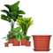 BigDean 5X Blumentopf Ø 20 cm Farbe Terrakotta & Untersetzer Kunststoff Pflanztopf Containertopf Übertopf Pflanzkübel rund 20 x 14,5 cm Blumentöpfe