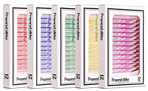 Bysameyee 60PCS vorbereitet Kunststoff Mikroskop Objektträger mit Proben für Kinder, 2022 neue Update vollständige Palette von Tier/Pflanze/Insekt/Blut Biologie Dias Geschenk-Set für Kinder Mikroskop