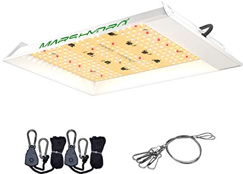 Mars Hydro TS600 Lampe de Culture Croissance 100w,lampe Horticole Led Spectre Complet Uv Ir,pour 60x60cm Chambre Tente de Culture, Pour Culture Indoor, Semis,légumes Et Fleurs