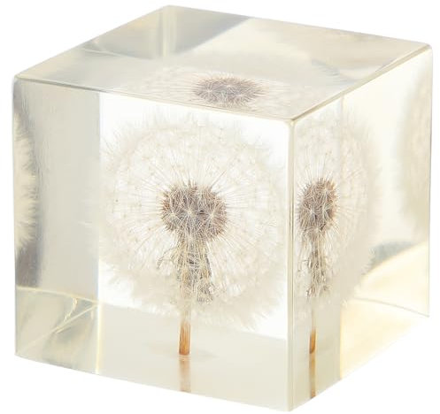 HOLIDYOYO Elegante Pusteblumen-bastelwürfel-Dekorationen Für Zuhause Und Büro Pusteblumen-Dekorationen Für Partys