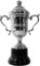 Trophy Cup with Lid, 26cm, Silver, Sports Competition Awards and Ceremonies