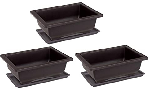 Temeemeg Maceta de Entrenamiento para bonsái, Maceta Rectangular de plástico con Bandeja, 6 uds.