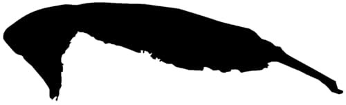 Samunshi® Wangerooge Insel Aufkleber Inselaufkleber in 7 Größen und 25 Farben (20x5,8cm schwarz)