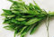 200+ frische Estragon SEEDS