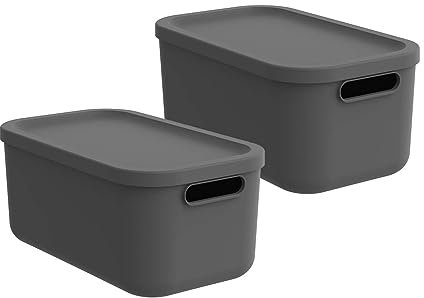 Rotho Albula light 2er-Set Aufbewahrungsbox 12l mit Deckel, Kunststoff, anthrazit