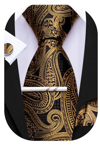 Barry.Wang Herren Seiden-Paisley-Krawatten mit Taschentuch Manschettenknopf Krawattenset Feierliche Hochzeit 3PCS