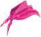 Velilla 404003/C/TU – Foulard triangulaire (moderne), rose, 404003/C23/TU
