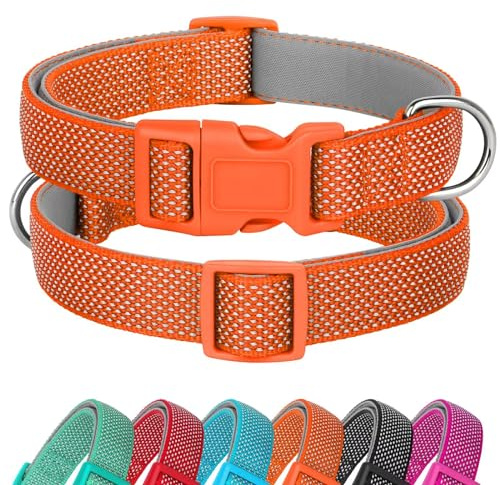 Didog Reflektierendes Hundehalsband mit Schnalle, verstellbar, weiches Neopren, gepolstert, Nylon, Haustierhalsbänder für kleine, mittelgroße und große Hunde, Orange, L