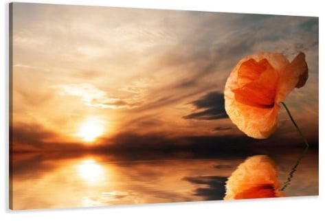 Visario Leinwandbild Sonne — strahlendes Wandbild Natur auf Leinwand fertig gerahmt — 120x80 cm 5022